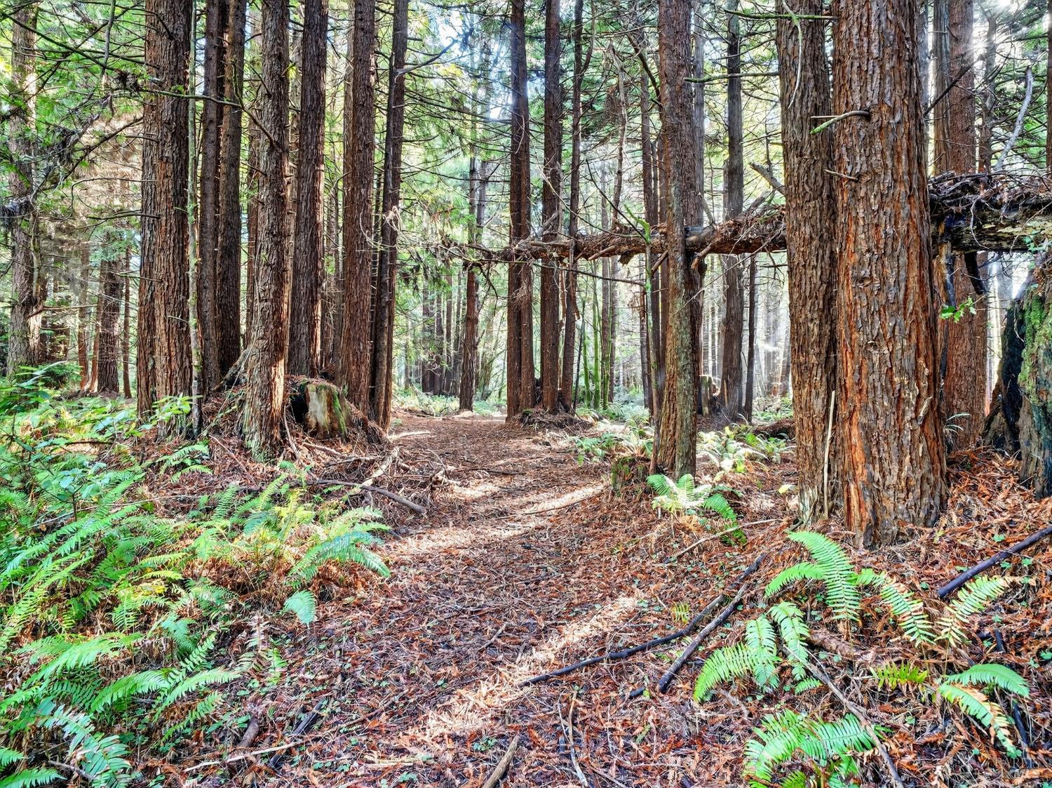 19400 Dorffi Road Fort Bragg CA 95437