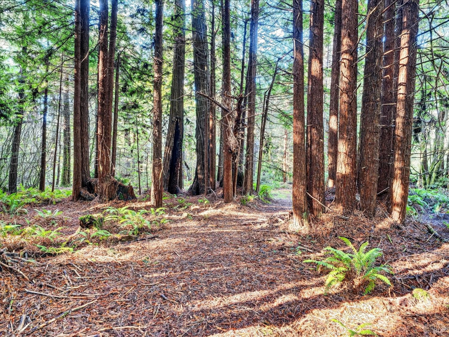 19400 Dorffi Road Fort Bragg CA 95437