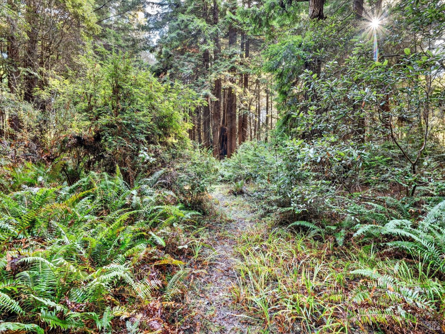 19400 Dorffi Road Fort Bragg CA 95437