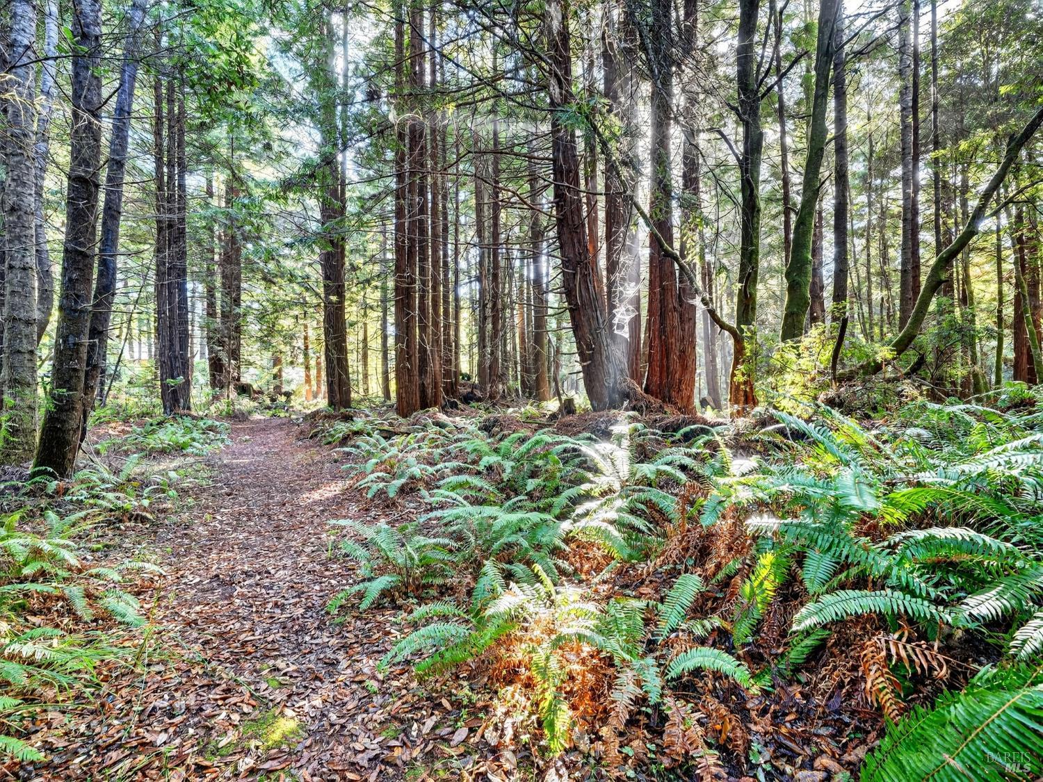 19400 Dorffi Road Fort Bragg CA 95437