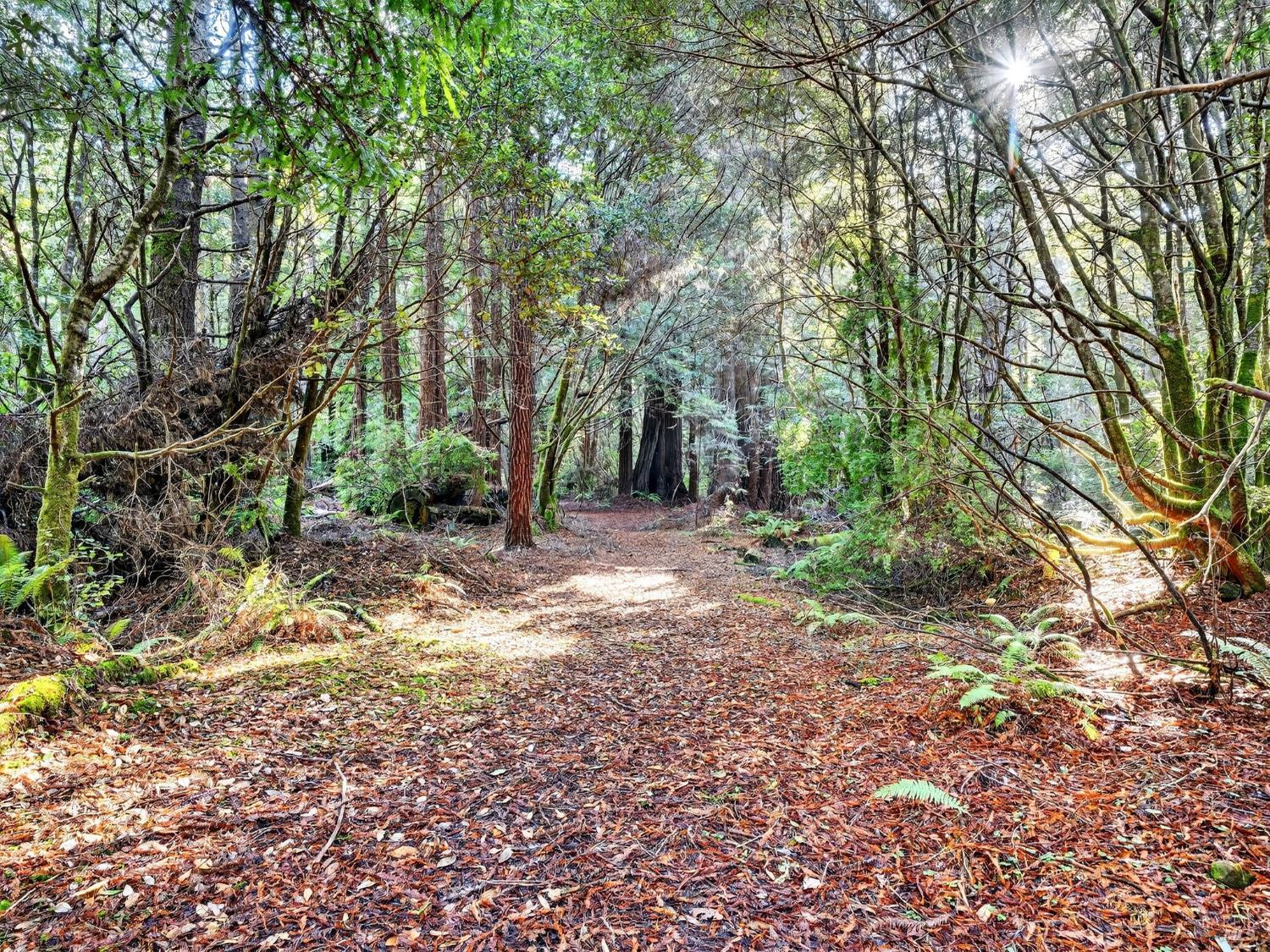 19400 Dorffi Road Fort Bragg CA 95437