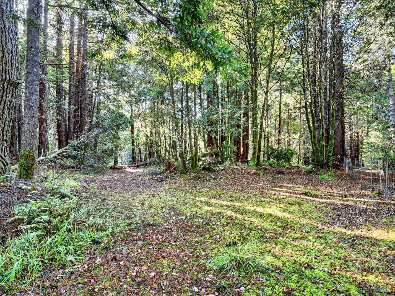 19400 Dorffi Road Fort Bragg CA 95437