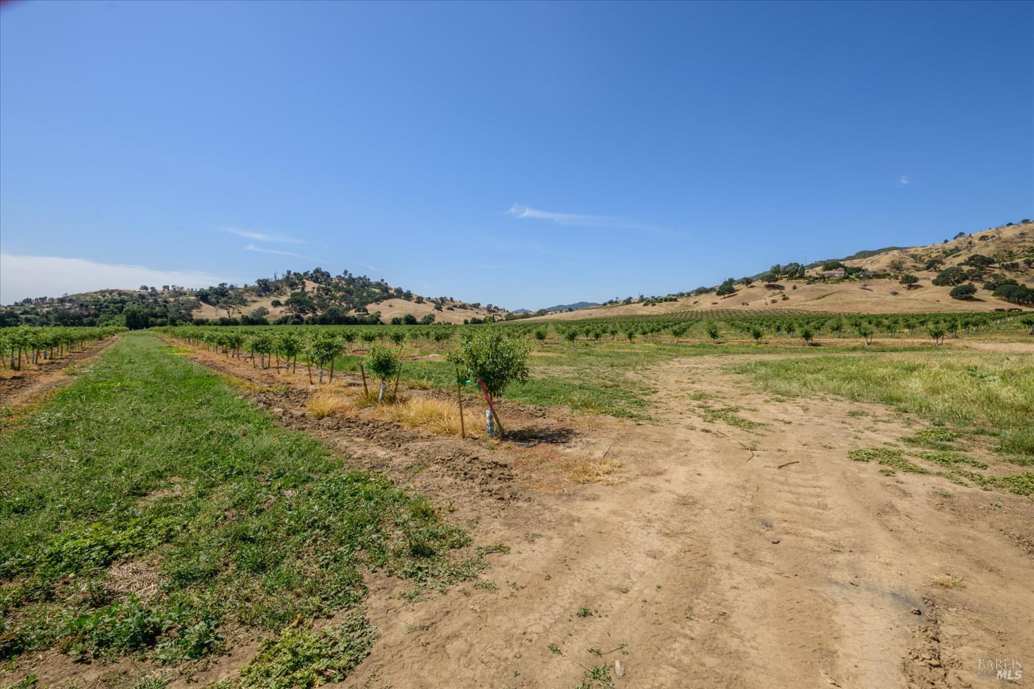 3442 Sackett Lane Winters CA 95694