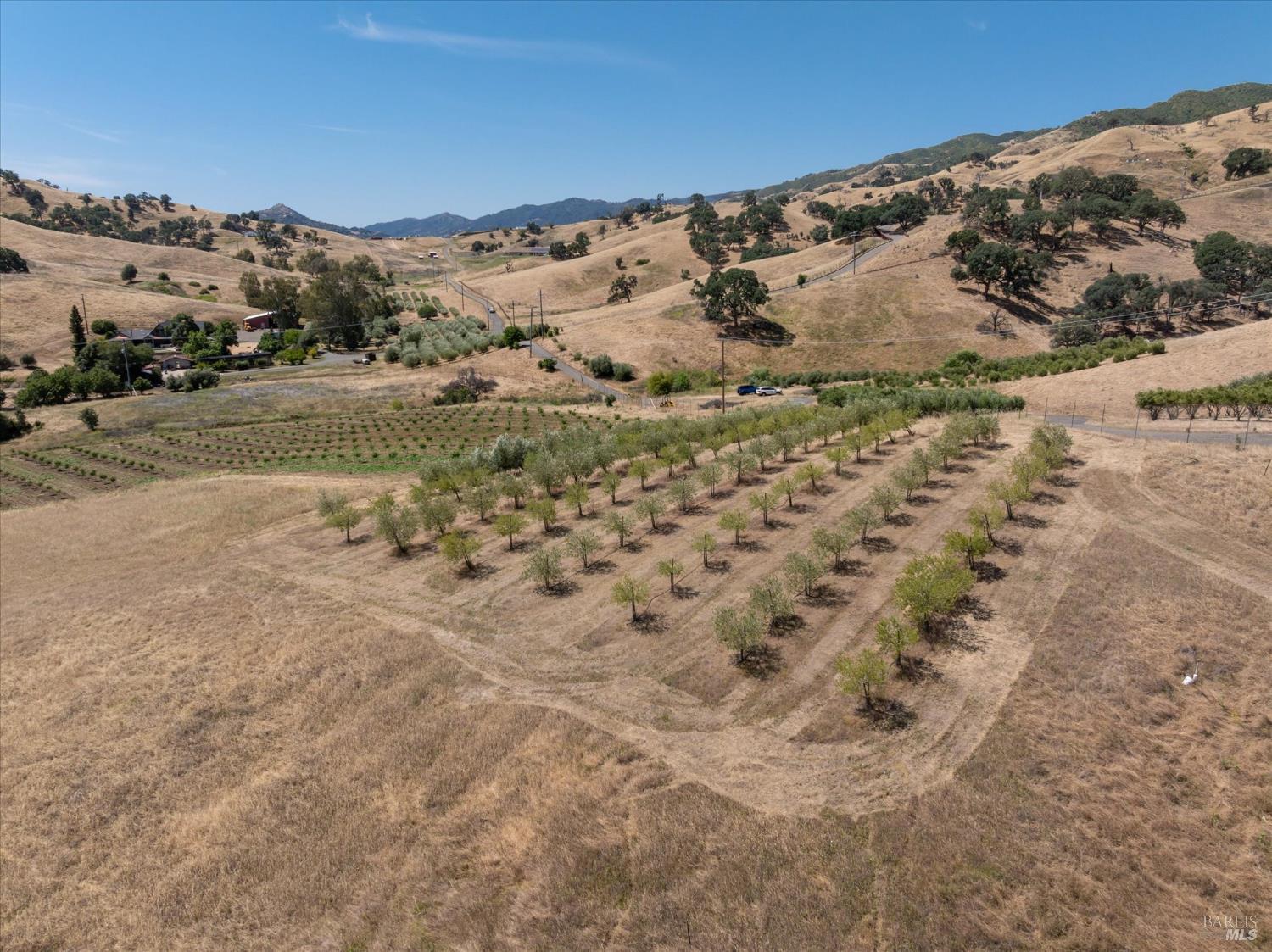 3442 Sackett Lane Winters CA 95694