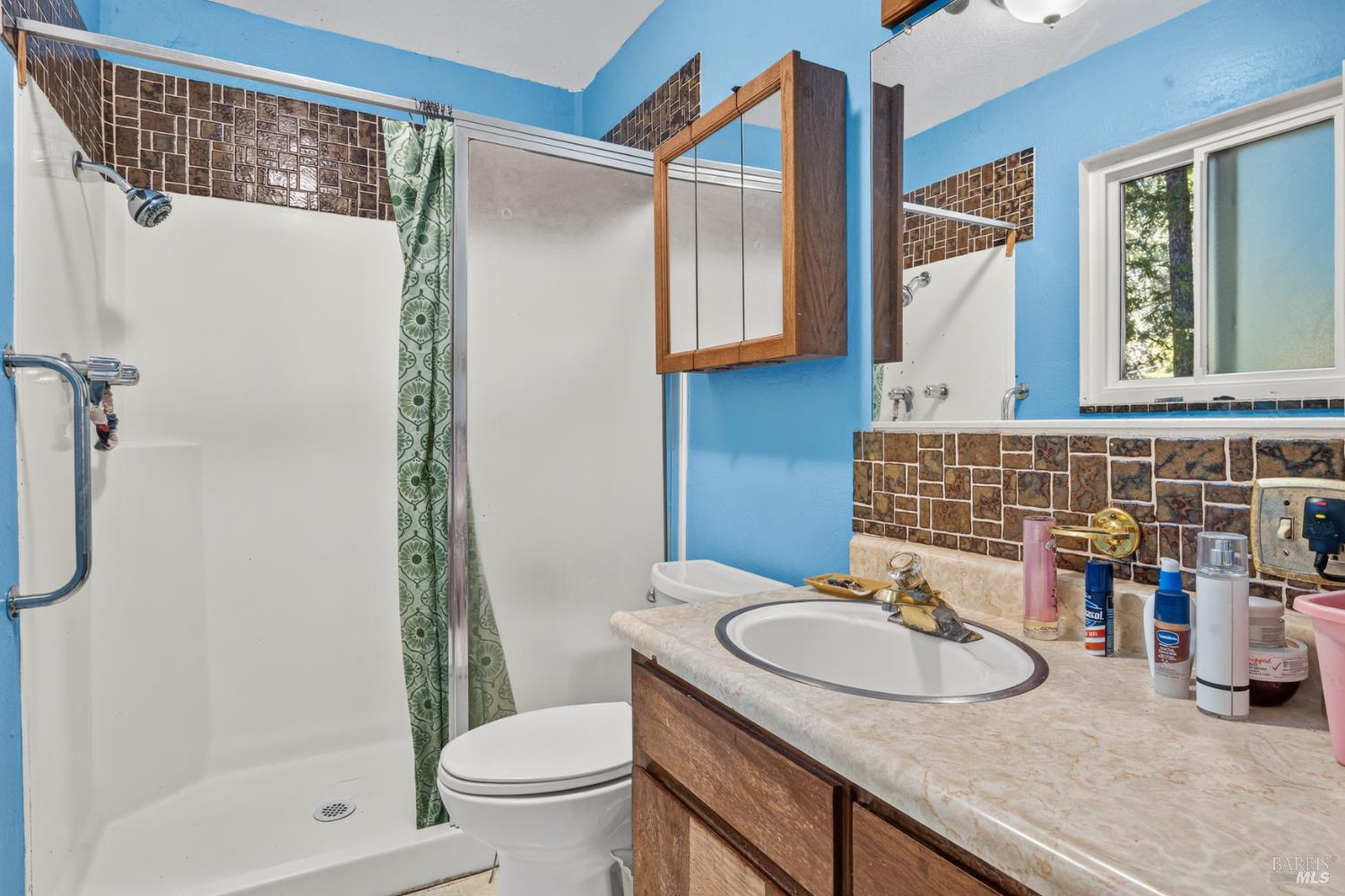 25090 Goose Lane Willits CA 95490