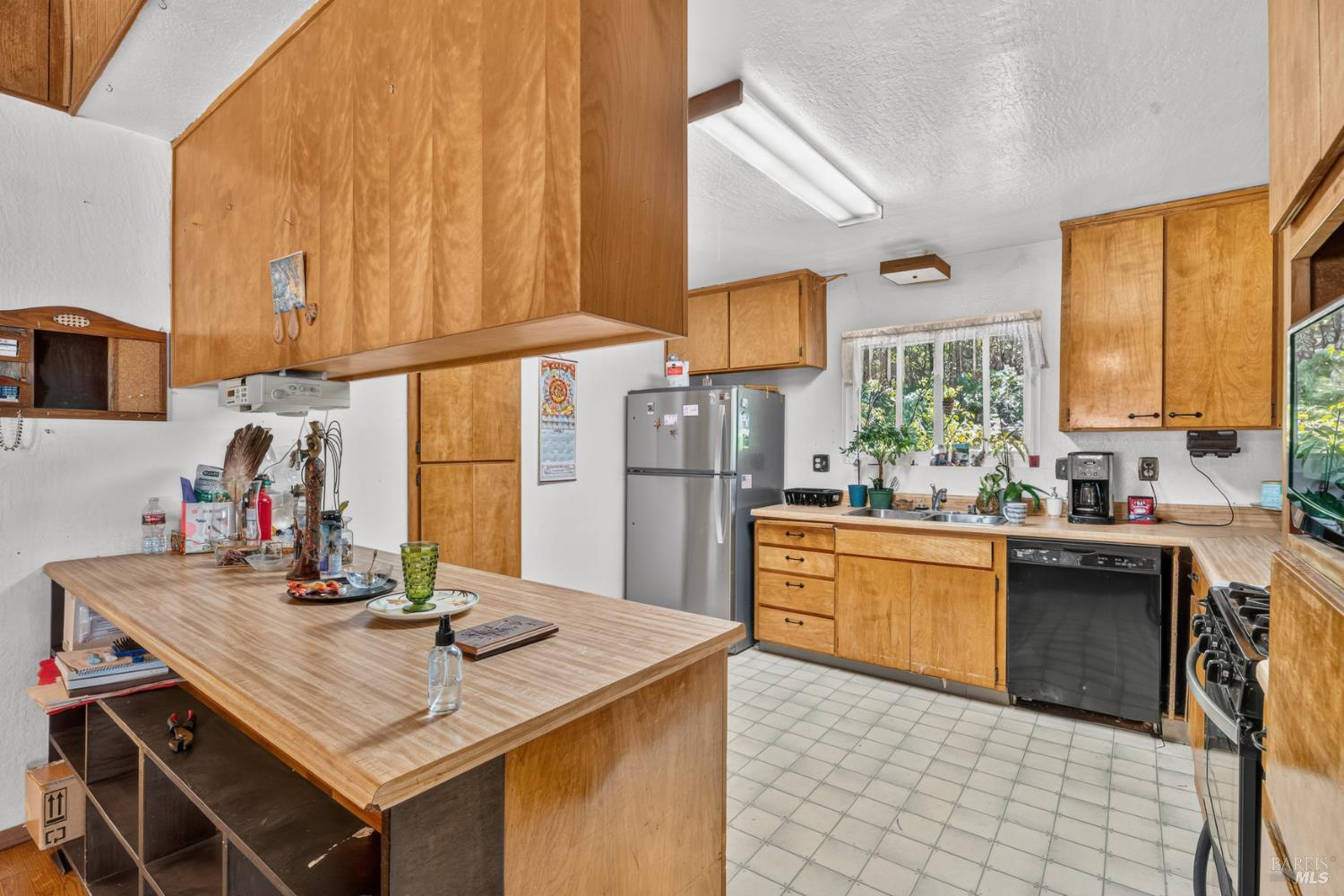 25090 Goose Lane Willits CA 95490