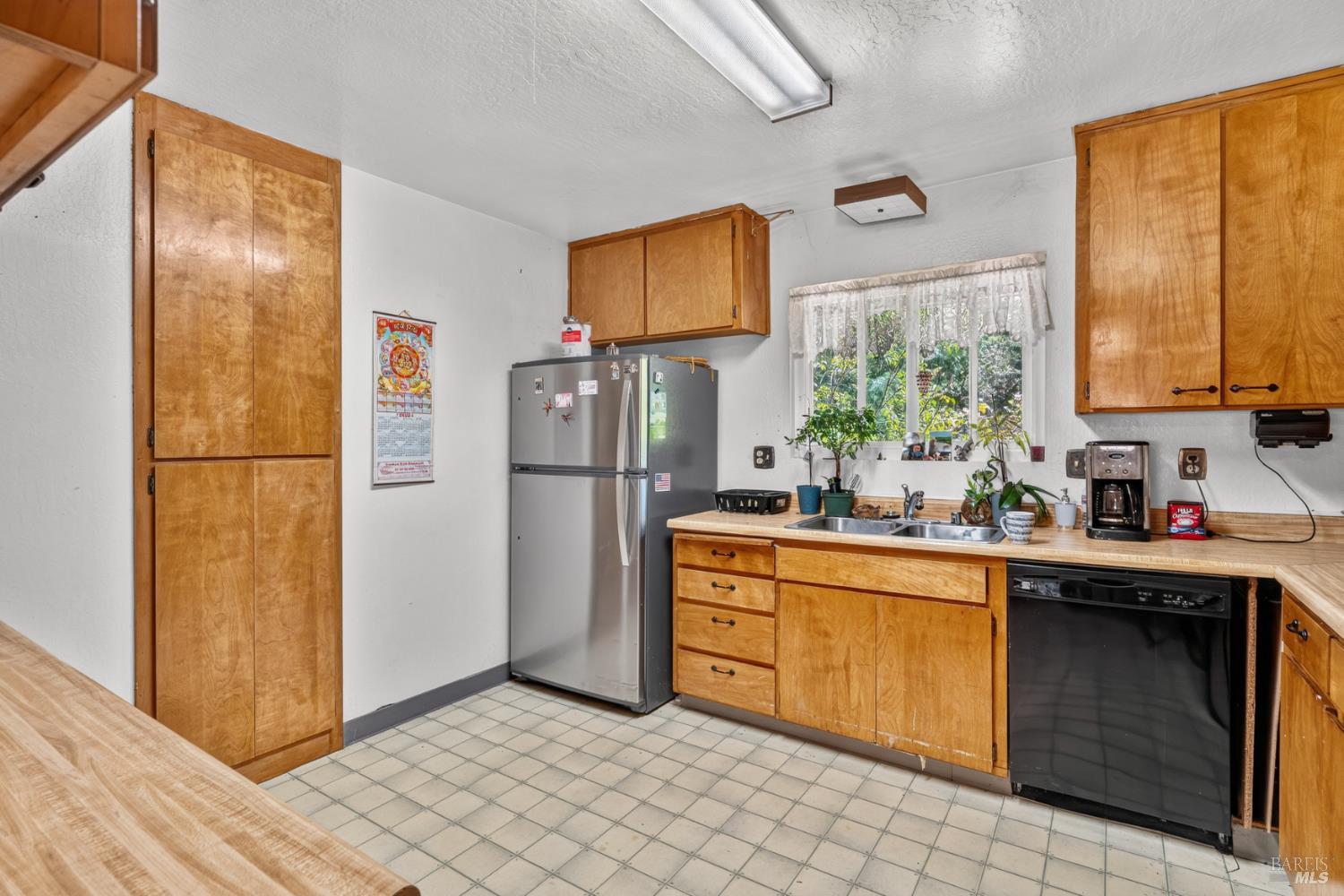 25090 Goose Lane Willits CA 95490