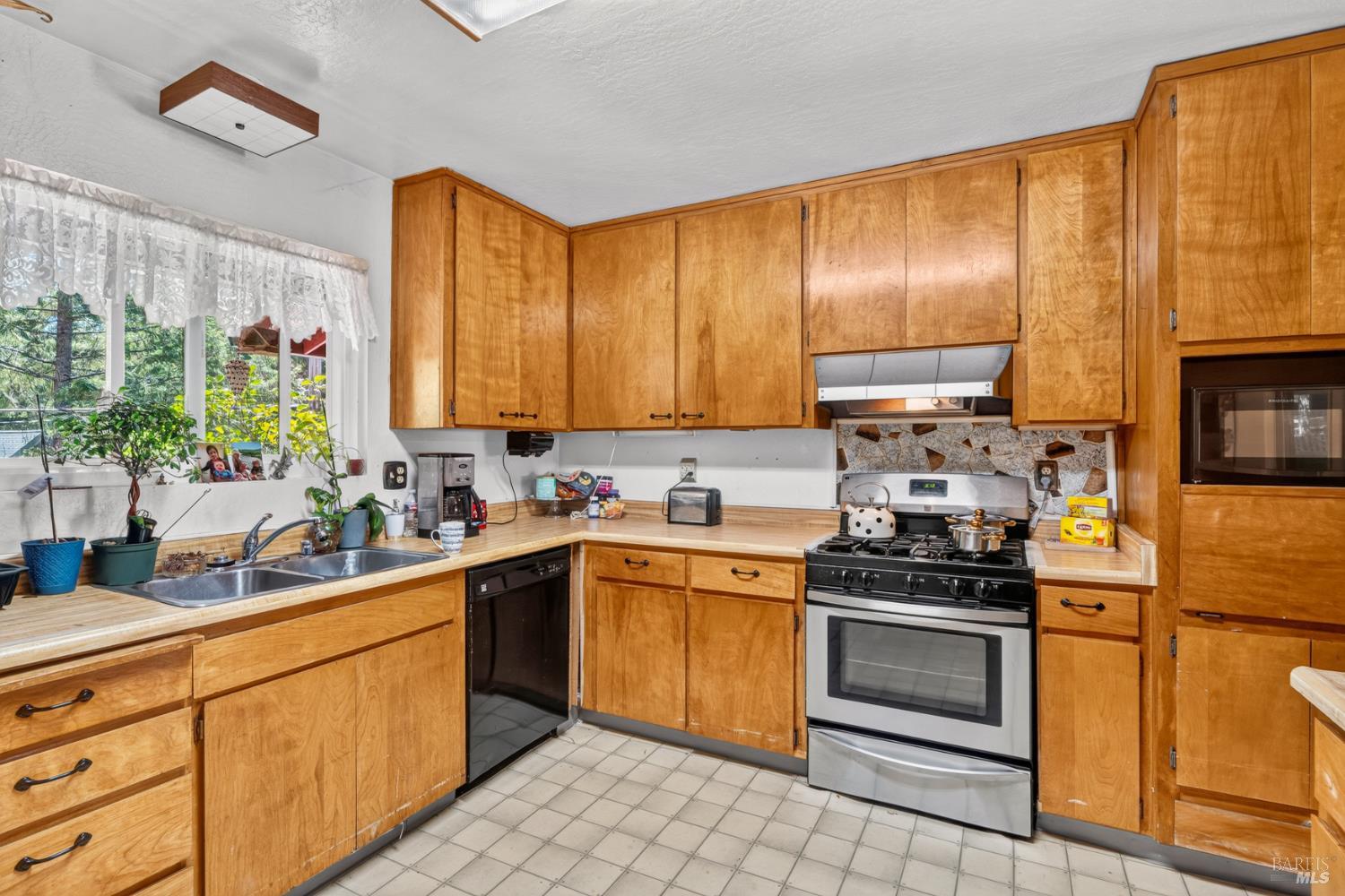 25090 Goose Lane Willits CA 95490