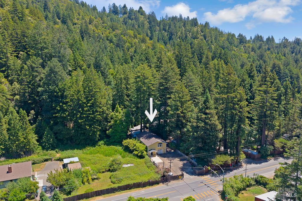 14783-14785 Armstrong Woods Road Guerneville CA 95446