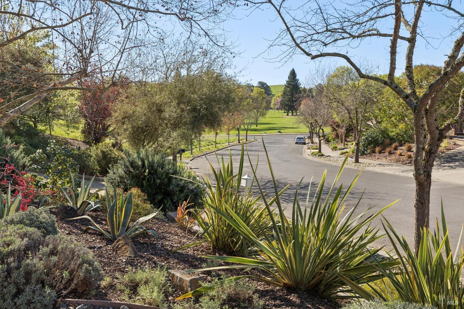 3350 Linda Mesa Way Napa CA 94558