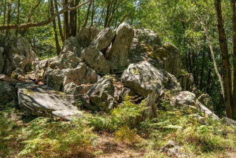 17777 Willow Creek Road Occidental CA 95465
