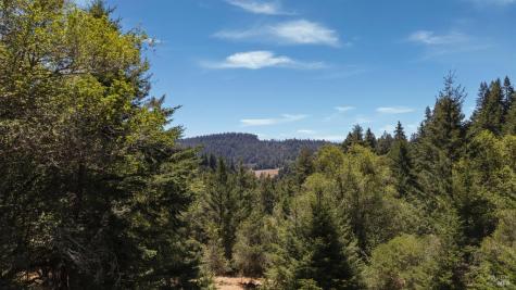 17777 Willow Creek Road Occidental CA 95465
