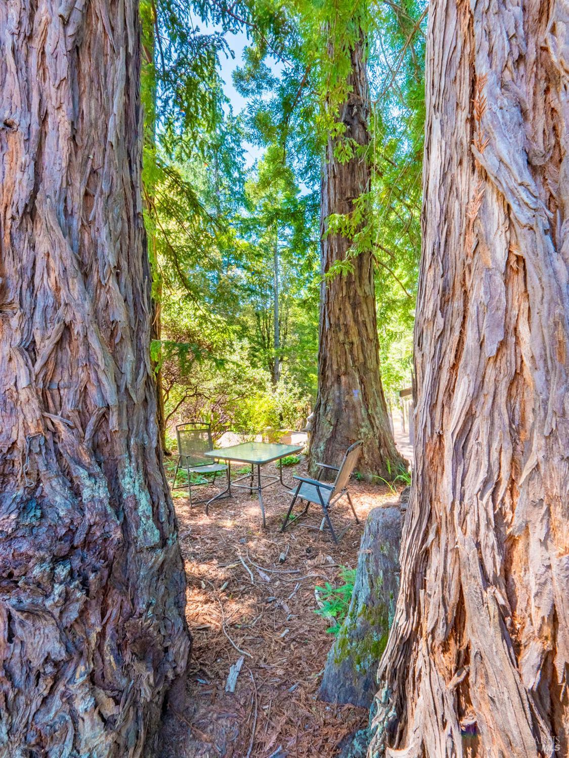 7701 Signal Ridge Road Philo CA 95466