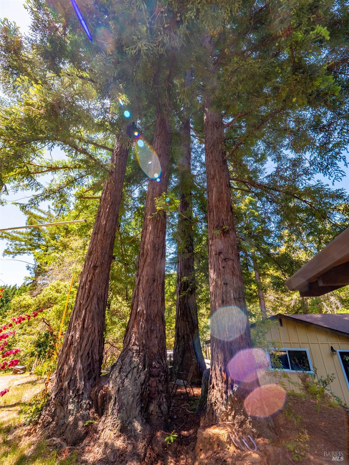 7701 Signal Ridge Road Philo CA 95466