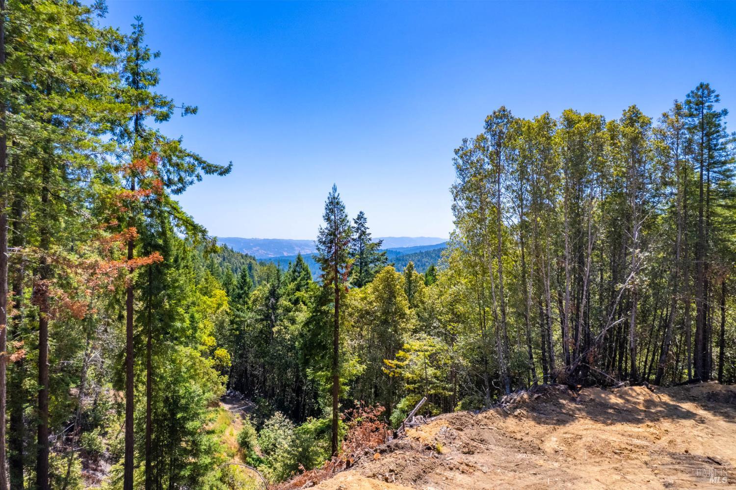 7701 Signal Ridge Road Philo CA 95466