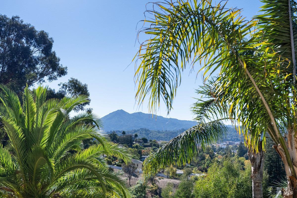 220 Deer Park Avenue San Rafael CA 94901