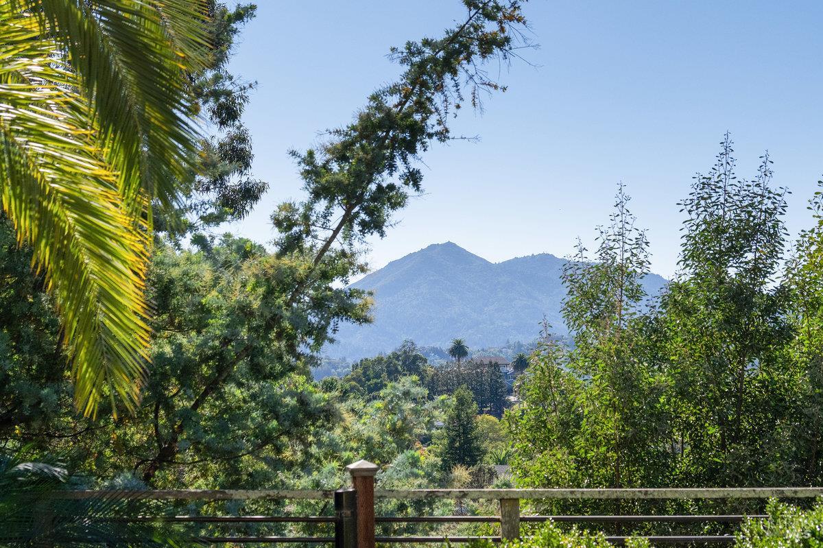 220 Deer Park Avenue San Rafael CA 94901