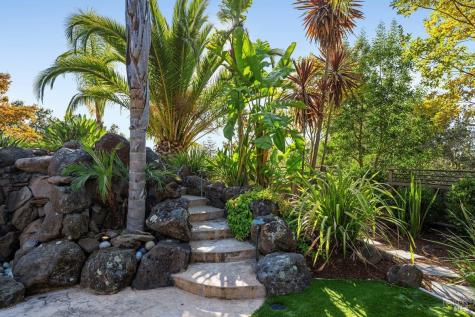 220 Deer Park Avenue San Rafael CA 94901