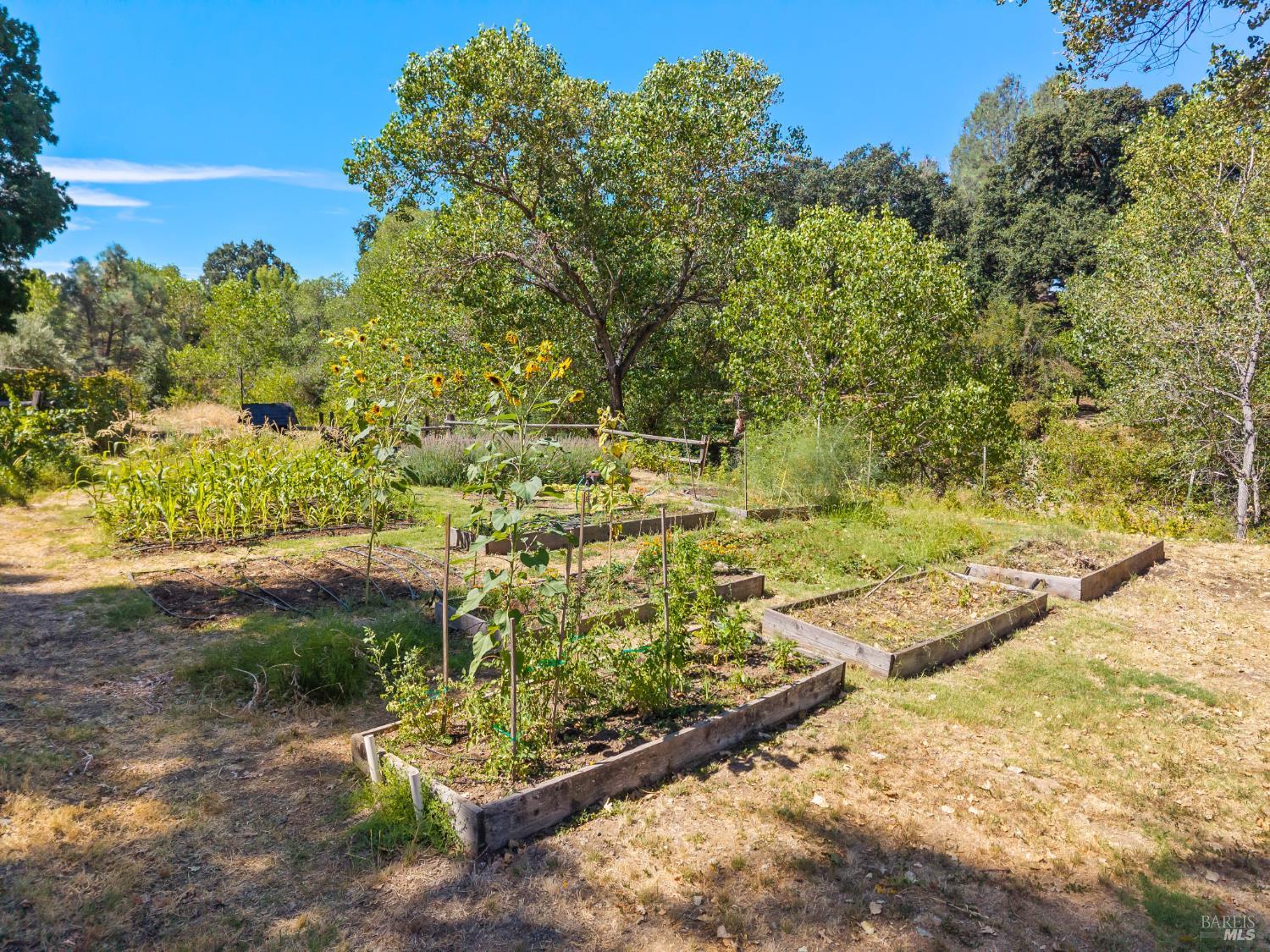 6733 Live Oak Drive Kelseyville CA 95451