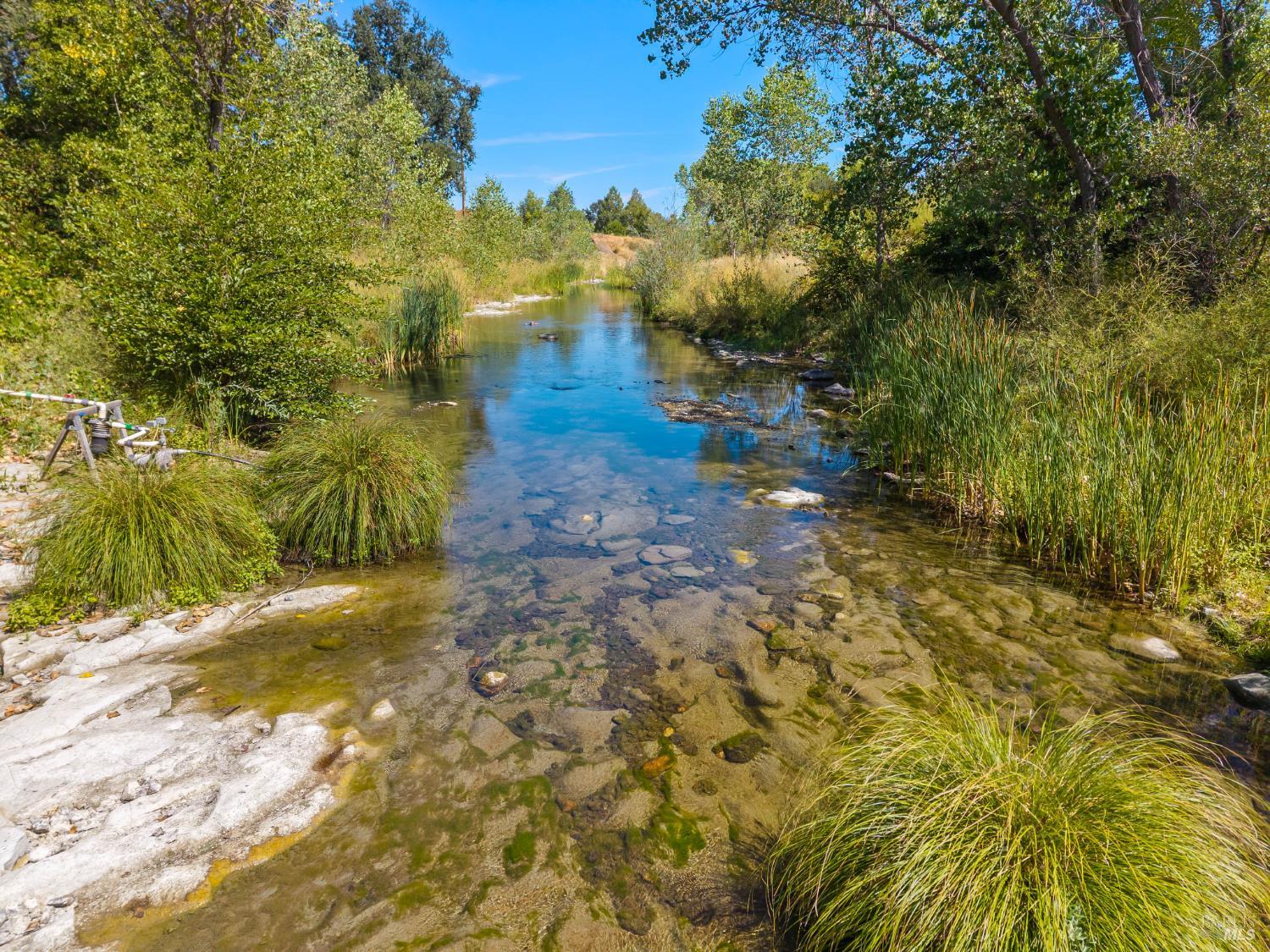 6733 Live Oak Drive Kelseyville CA 95451