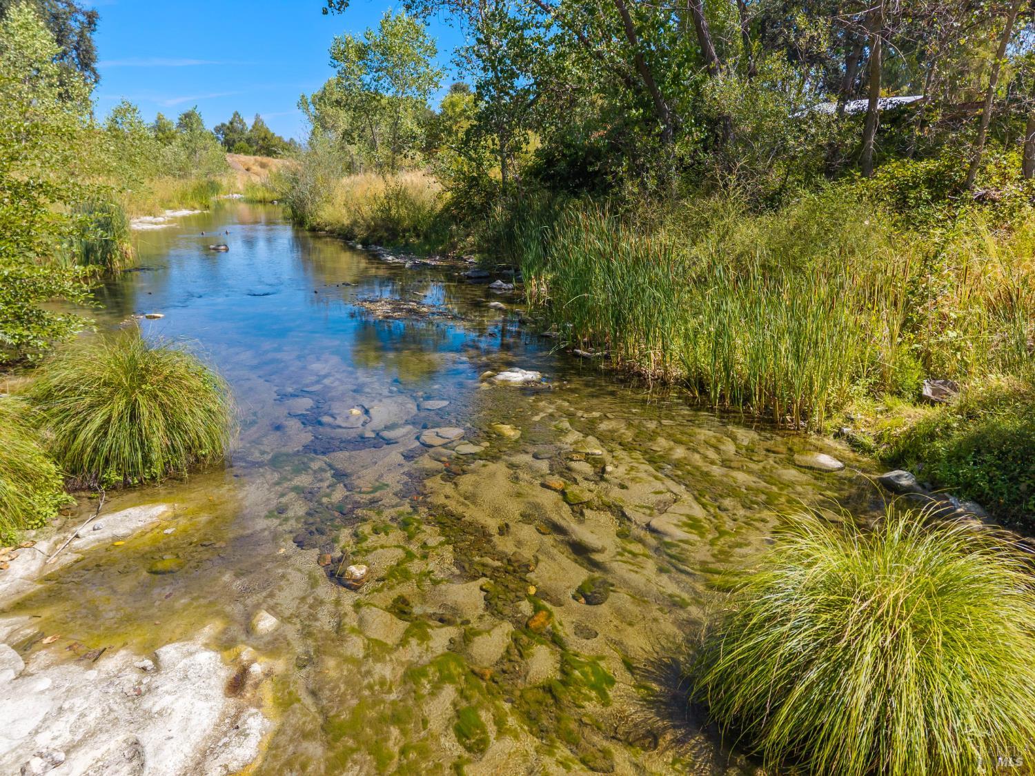 6733 Live Oak Drive Kelseyville CA 95451