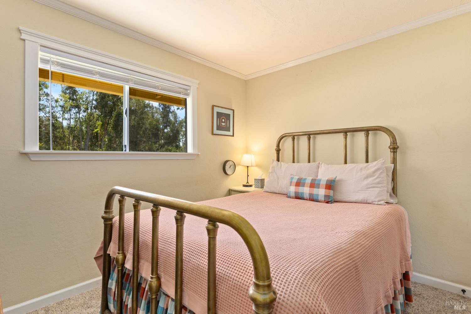 6733 Live Oak Drive Kelseyville CA 95451