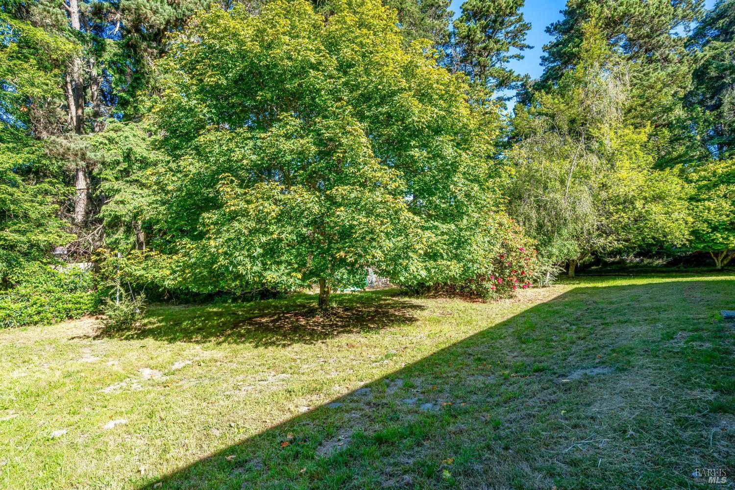 18949 Andrea Way Fort Bragg CA 95437