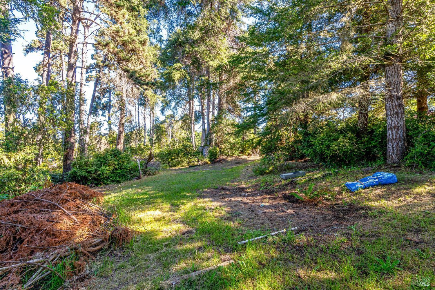 18949 Andrea Way Fort Bragg CA 95437