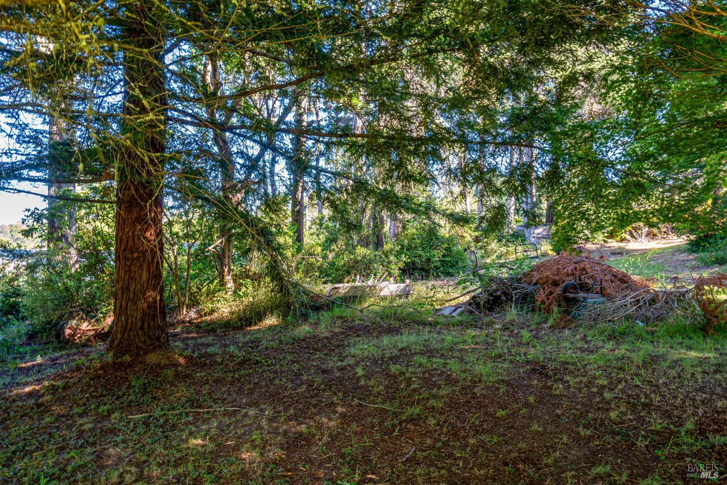 18949 Andrea Way Fort Bragg CA 95437
