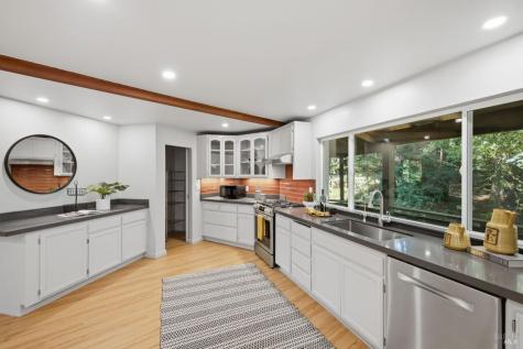 9085 Middle Terrace Monte Rio CA 95462