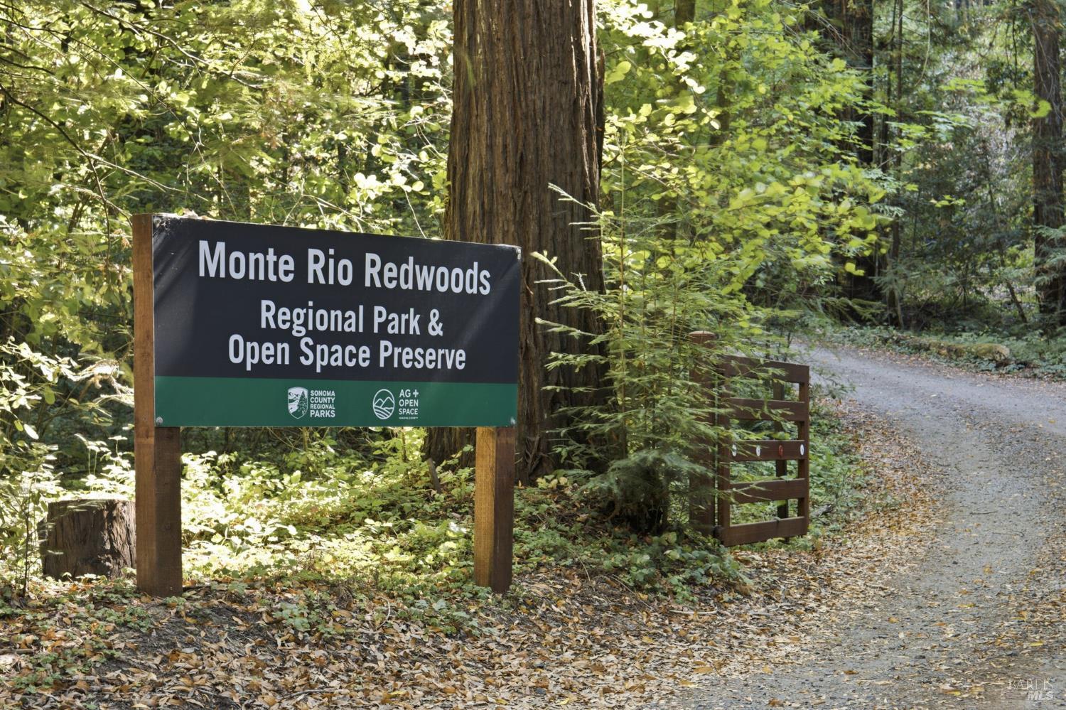 9085 Middle Terrace Monte Rio CA 95462