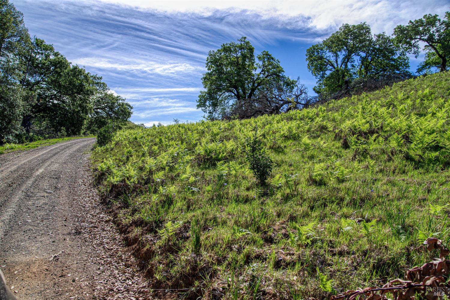 12300 Skaggs Road Geyserville CA 95441