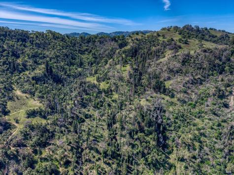 12300 Skaggs Road Geyserville CA 95441