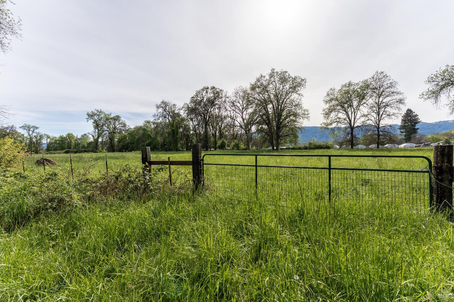 24271 Shady Lane Covelo CA 95428