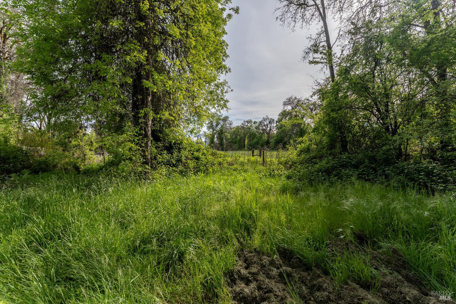 24271 Shady Lane Covelo CA 95428