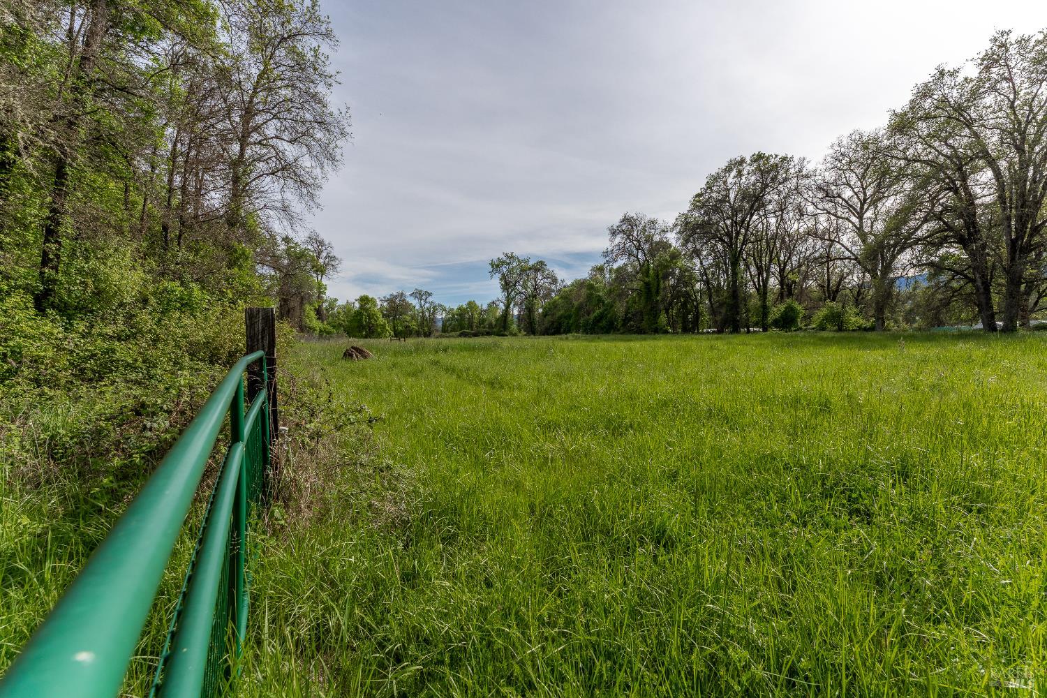 24271 Shady Lane Covelo CA 95428