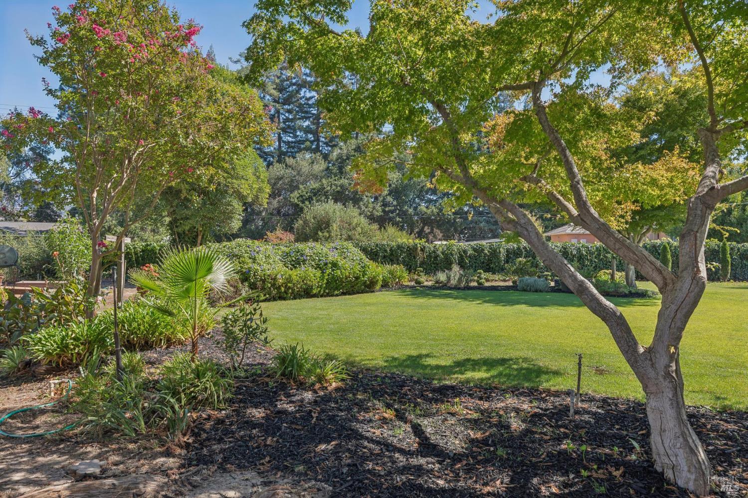 1154 Ragatz Lane Napa CA 94558