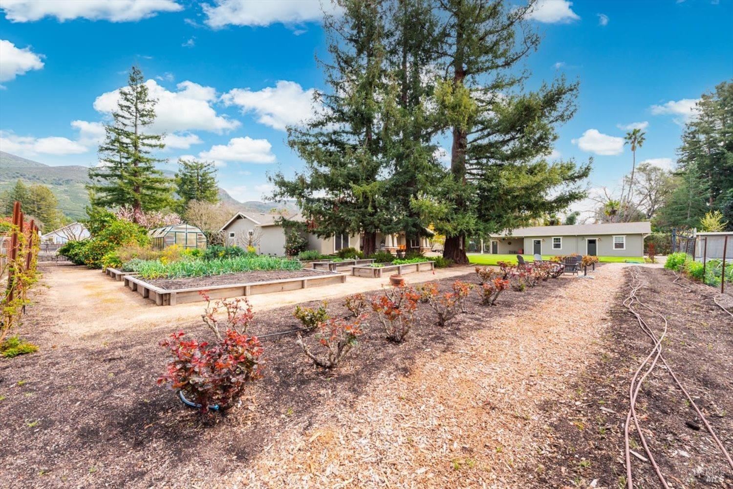 1111 Olive Hill Lane Napa CA 94558