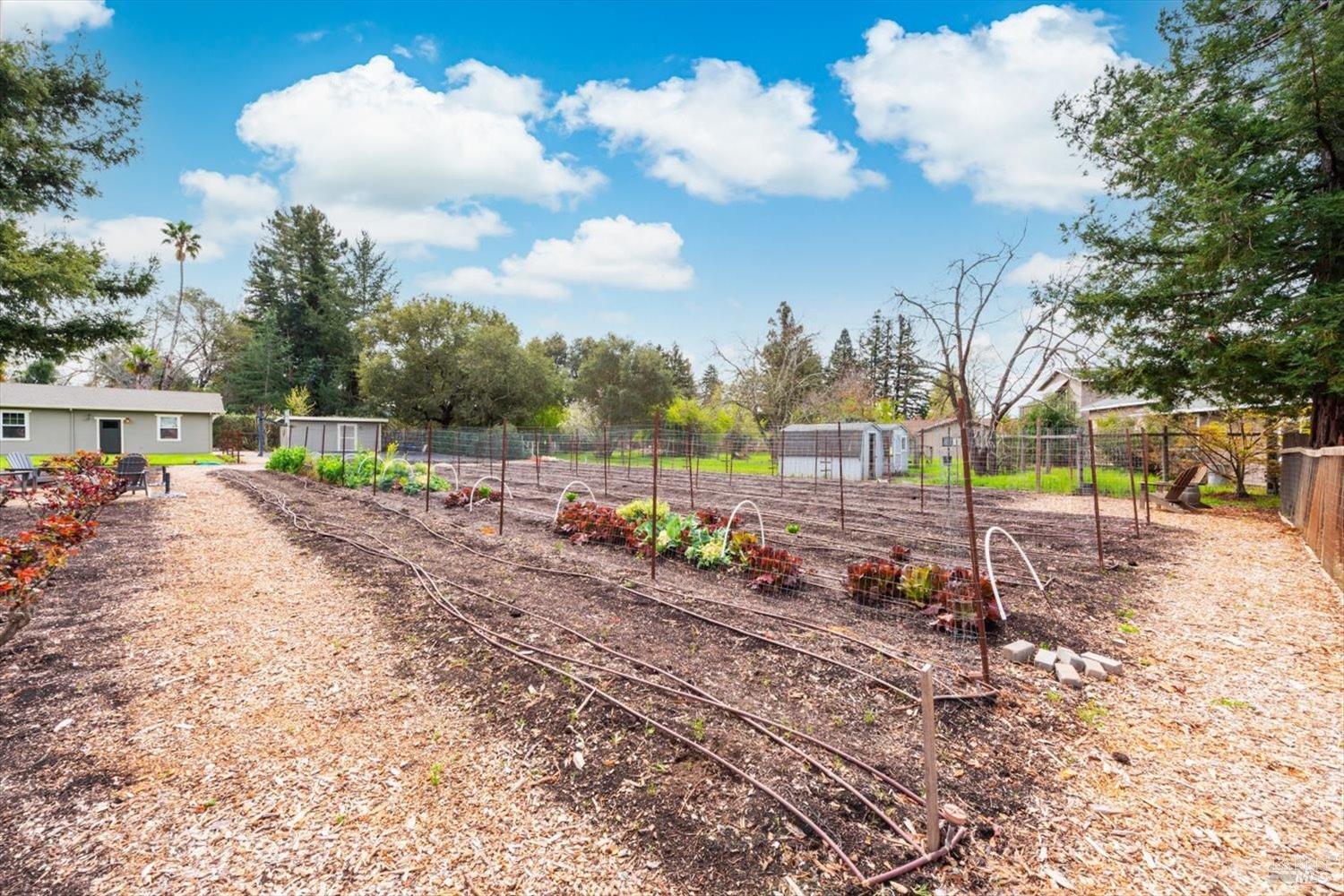 1111 Olive Hill Lane Napa CA 94558