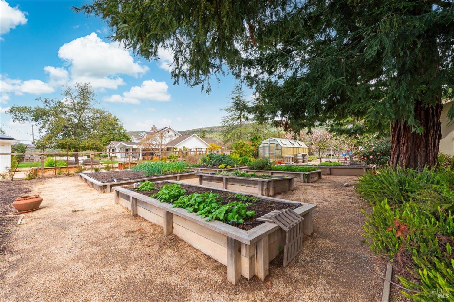 1111 Olive Hill Lane Napa CA 94558