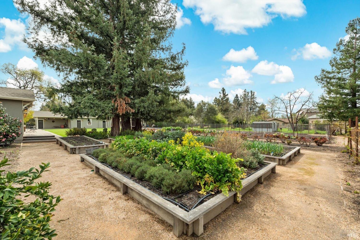 1111 Olive Hill Lane Napa CA 94558