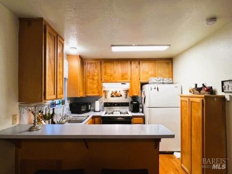 17360 Park Avenue Guerneville CA 95446