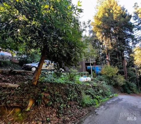 17360 Park Avenue Guerneville CA 95446