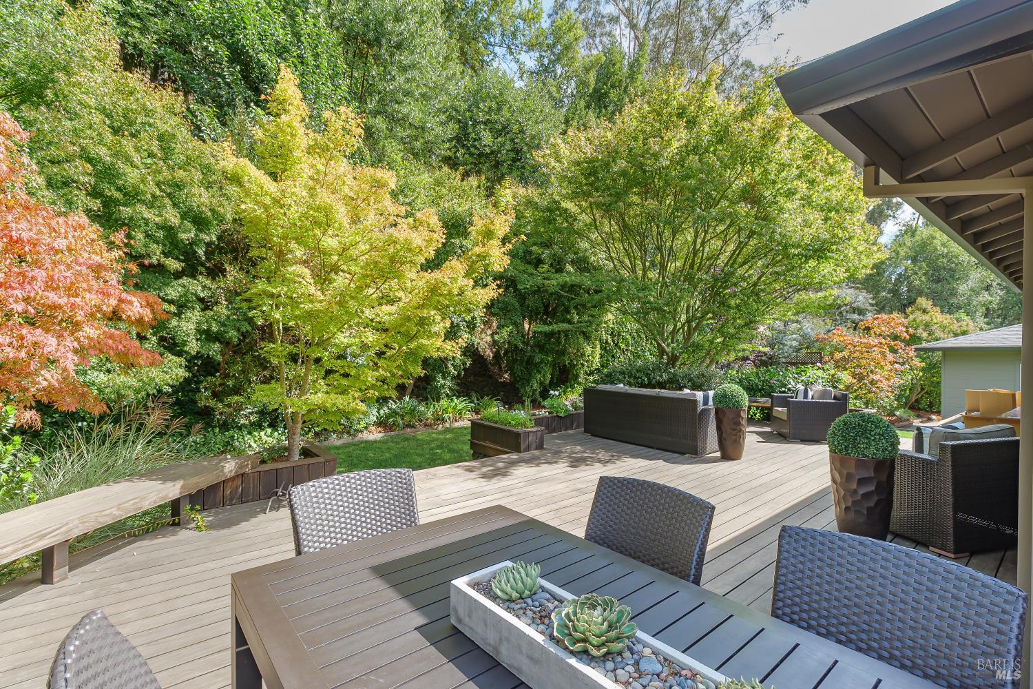 254 Mountain View Avenue San Rafael CA 94901