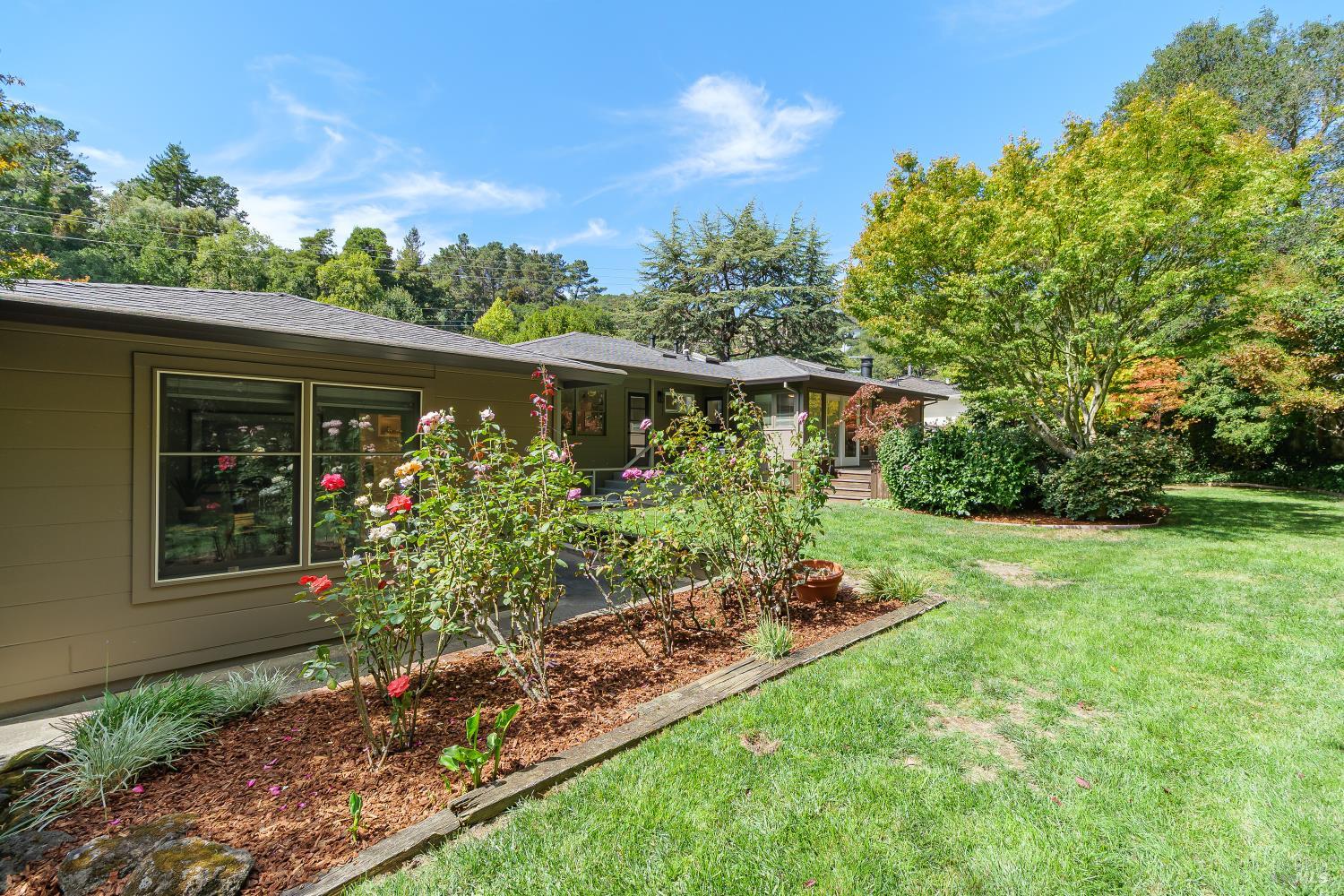254 Mountain View Avenue San Rafael CA 94901