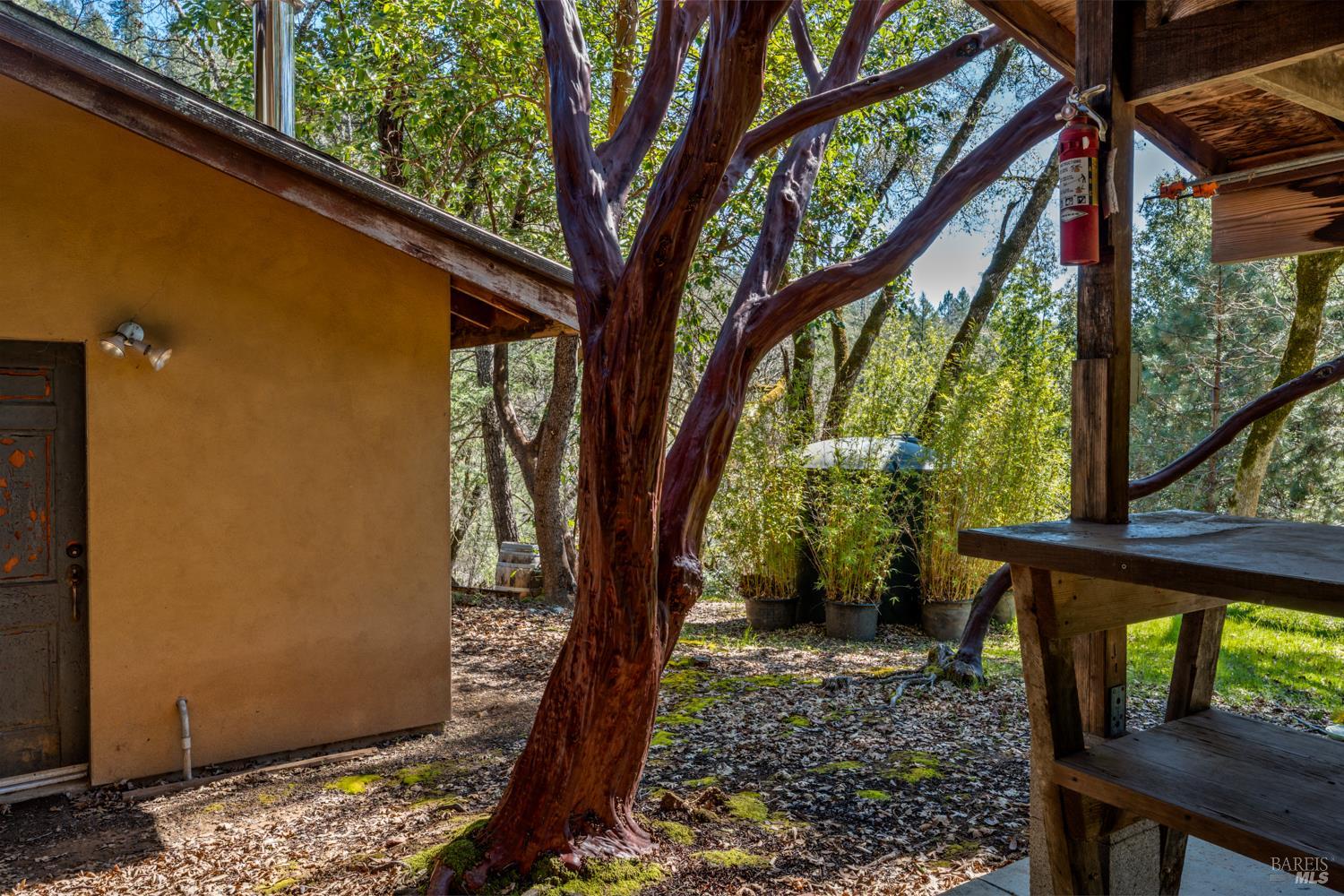 18210 Old Ukiah Pine Road Potter Valley CA 95469