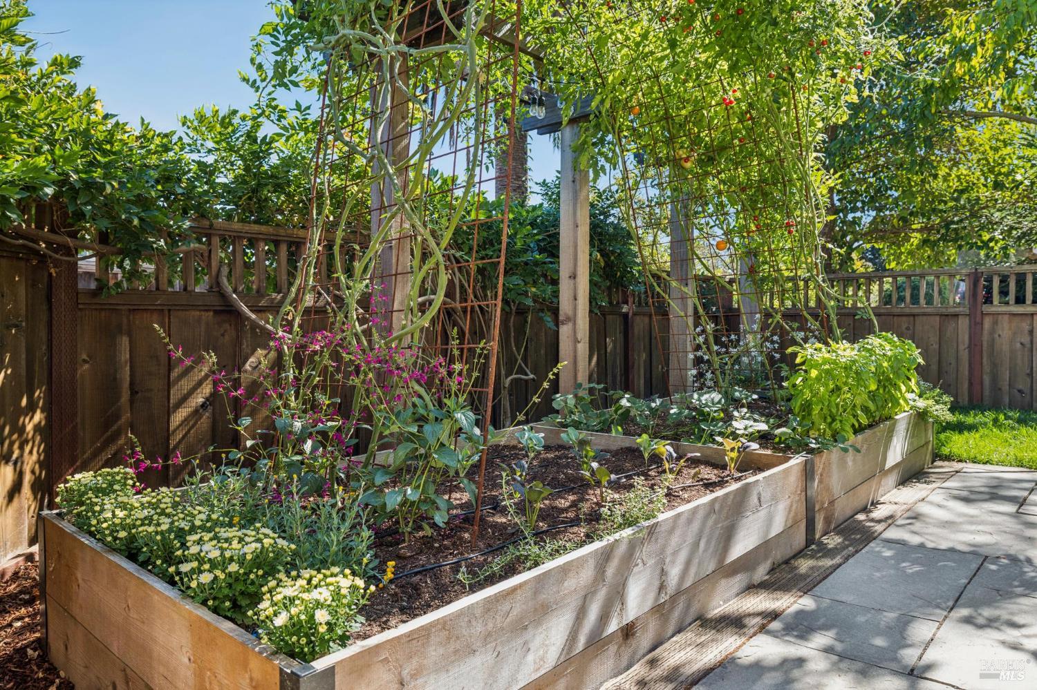 25 Foss Avenue San Anselmo CA 94960