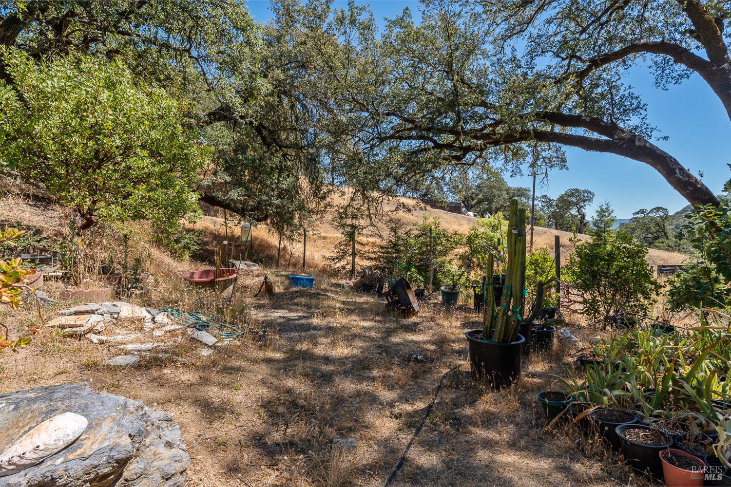 8970 Feliz Creek Drive Ukiah CA 95482