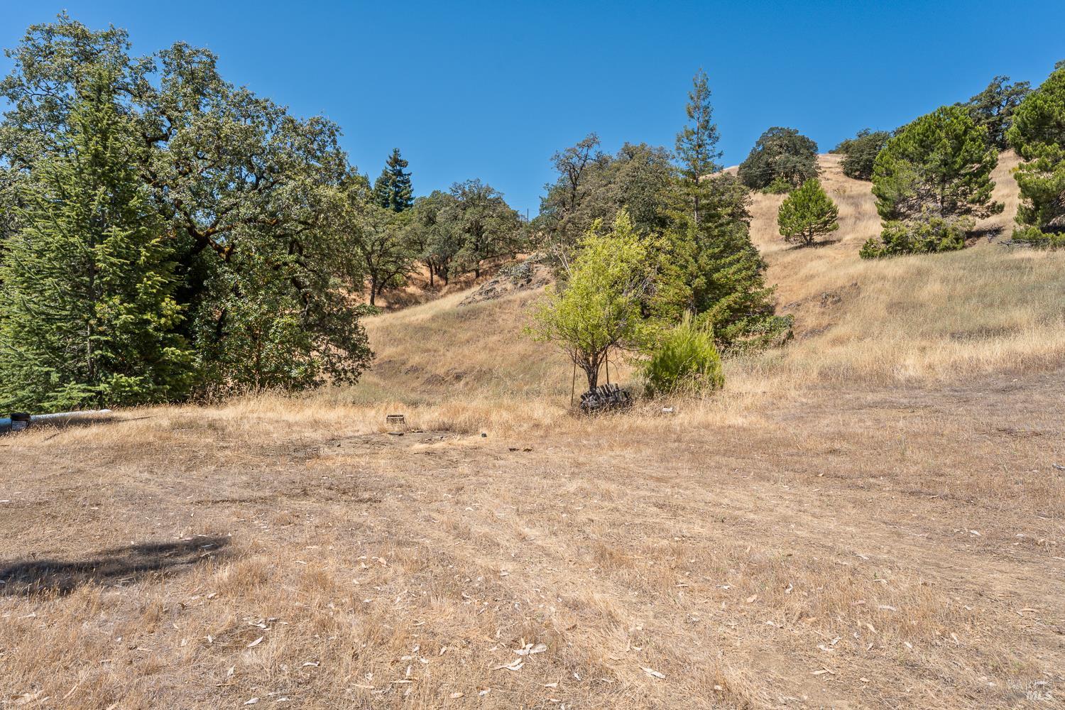 8970 Feliz Creek Drive Ukiah CA 95482