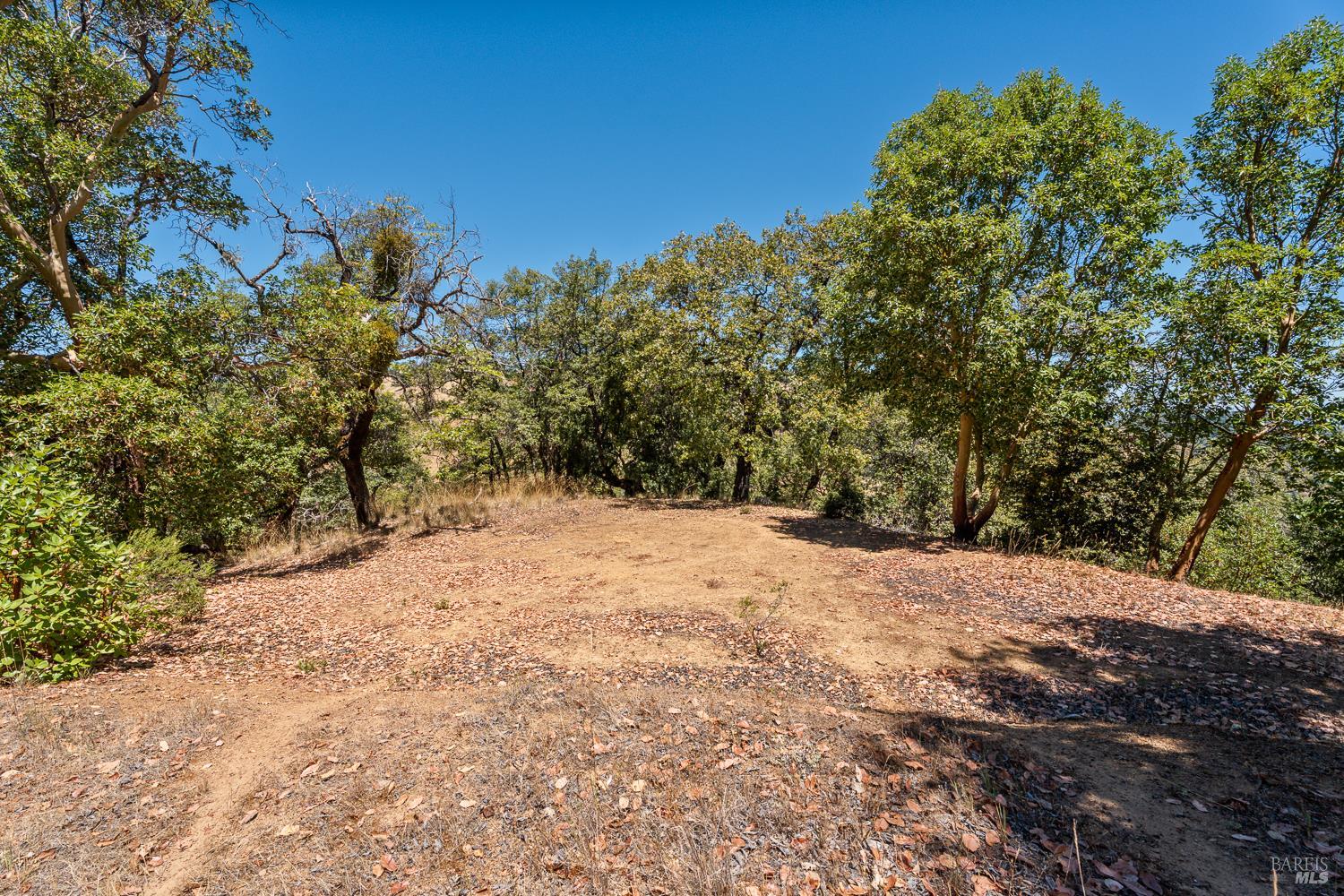 8970 Feliz Creek Drive Ukiah CA 95482